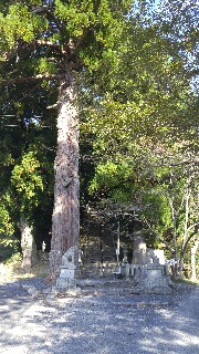 f:id:okirakux:20201021192313j:image