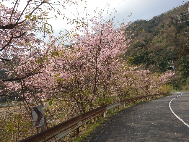 f:id:okirakuya-kimono:20190308192012j:image