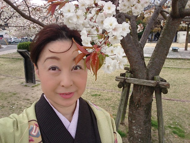 f:id:okirakuya-kimono:20190405115503j:image