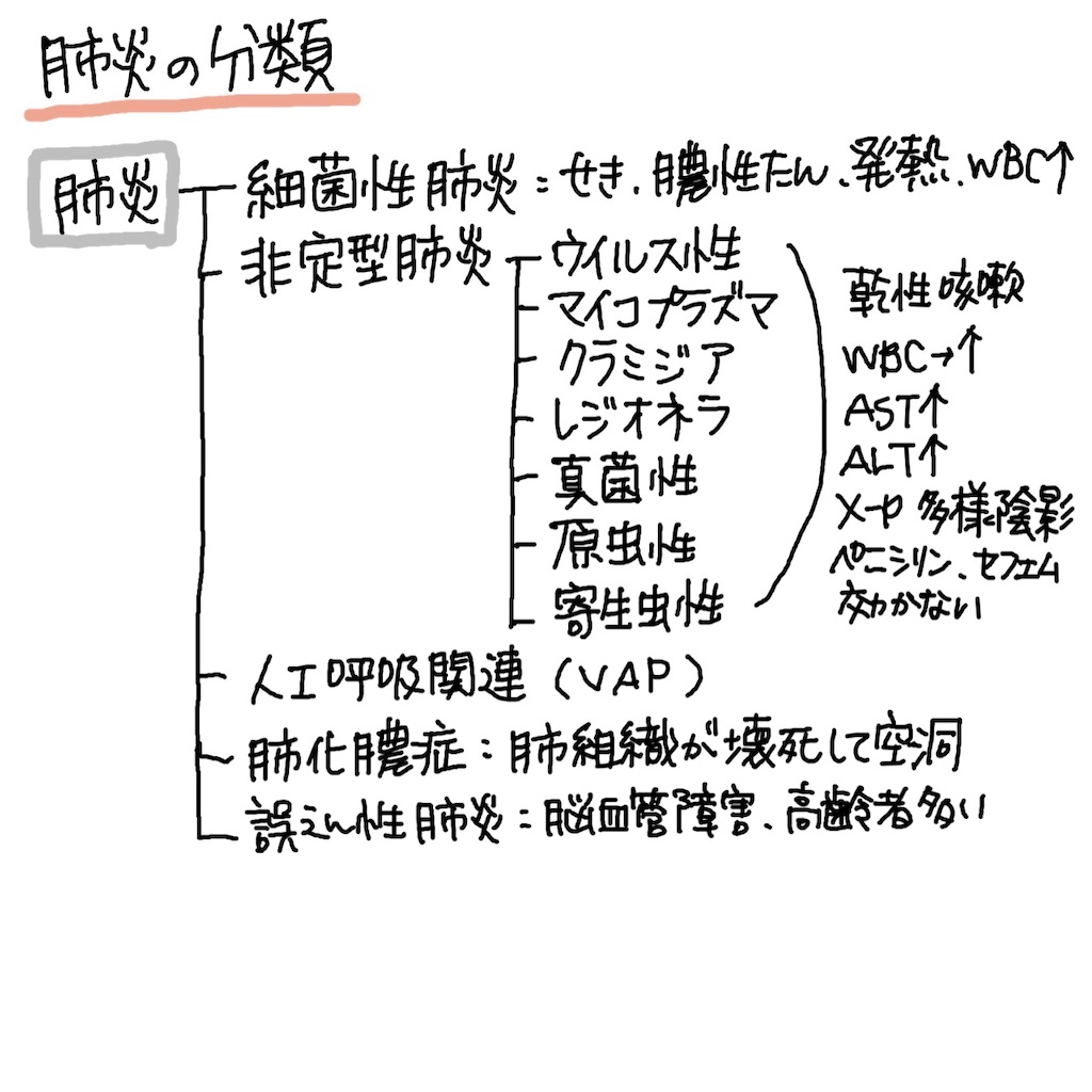 f:id:okisaro_nurse:20200302005714j:image f:id:okisaro_nurse:20200302005714j:image