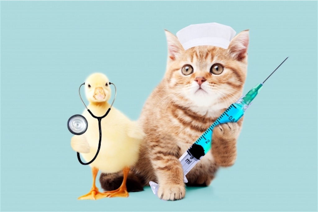 f:id:okisaro_nurse:20200924183046j:image f:id:okisaro_nurse:20200924183046j:image