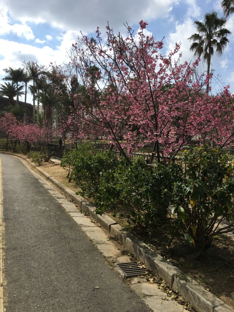 f:id:okitan47:20180216003925j:plain f:id:okitan47:20180216003925j:plain