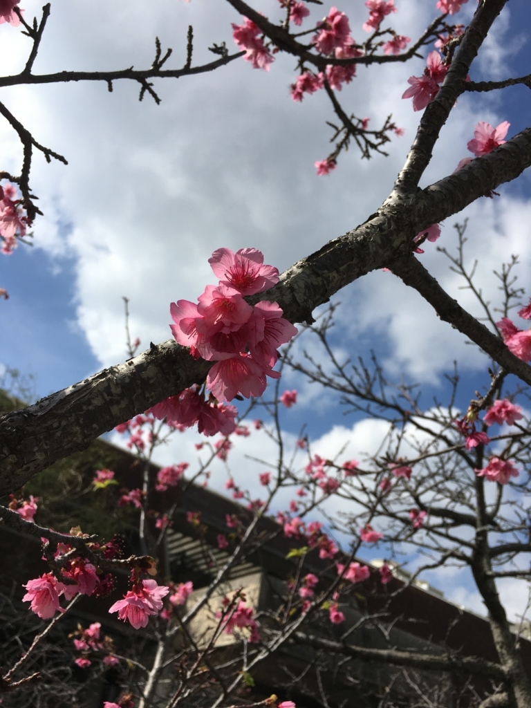 f:id:okitan47:20180216004122j:plain f:id:okitan47:20180216004122j:plain