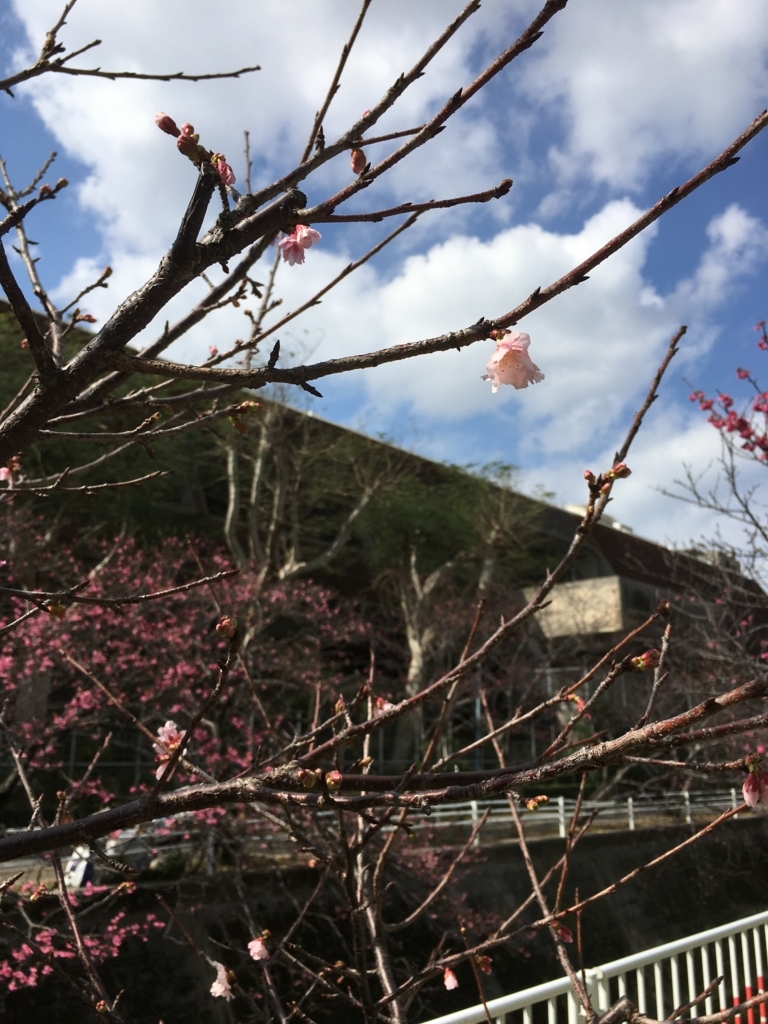 f:id:okitan47:20180216004212j:plain f:id:okitan47:20180216004212j:plain