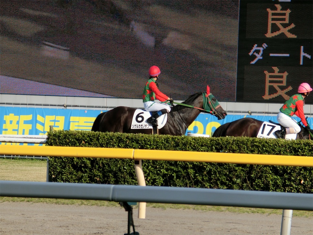 f:id:okitetsu0305:20160816083345j:image f:id:okitetsu0305:20160816083345j:image