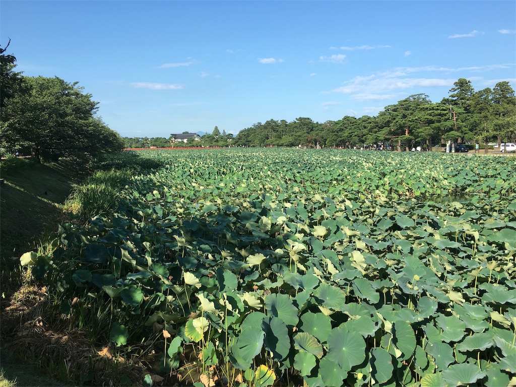 f:id:okitetsu0305:20160817214023j:image