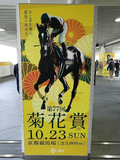 競馬