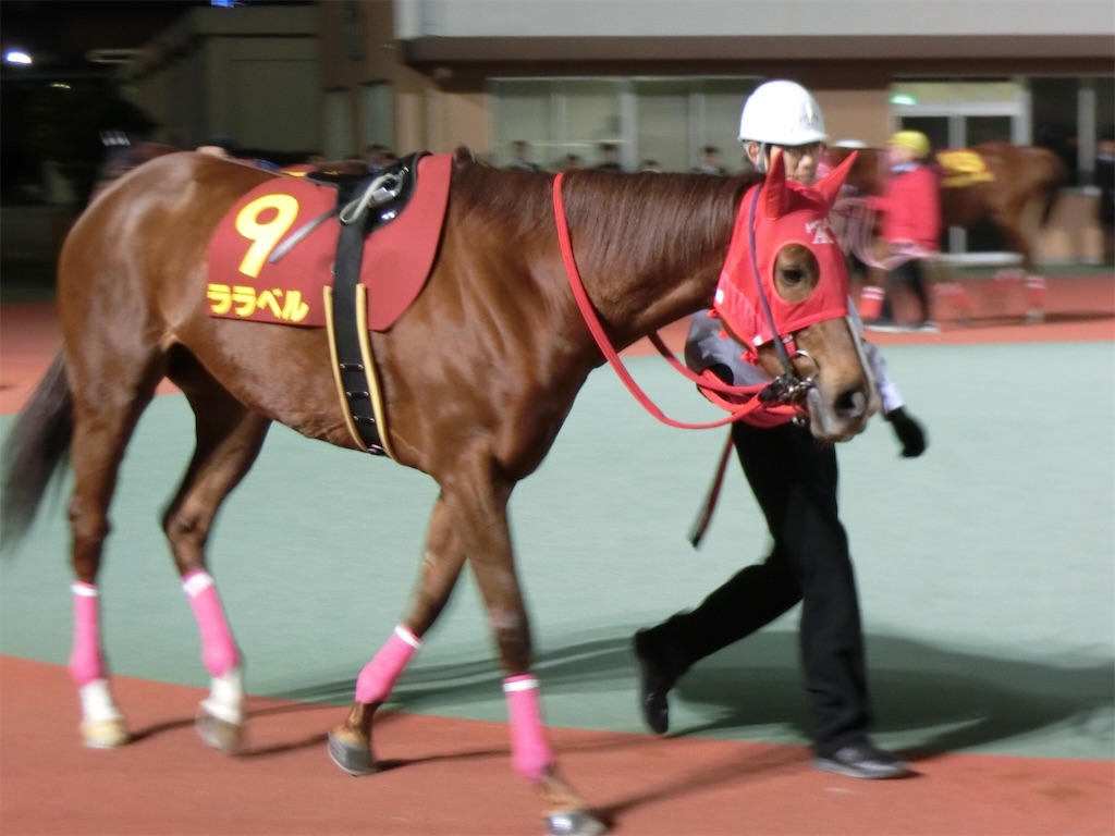 f:id:okitetsu0305:20161207224356j:image f:id:okitetsu0305:20161207224356j:image