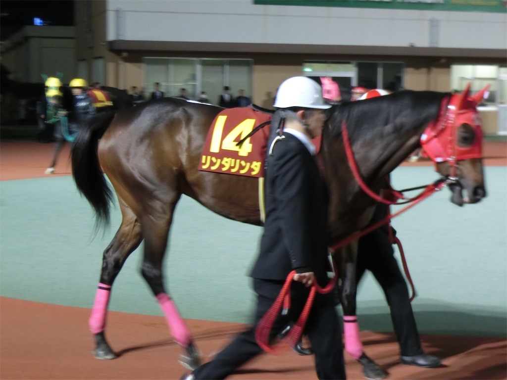 f:id:okitetsu0305:20161207224429j:image f:id:okitetsu0305:20161207224429j:image