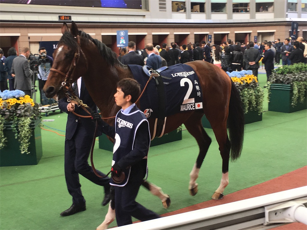 モーリス、規格外の強さ‼︎。エイシンヒカリは”らしさ”を見せて