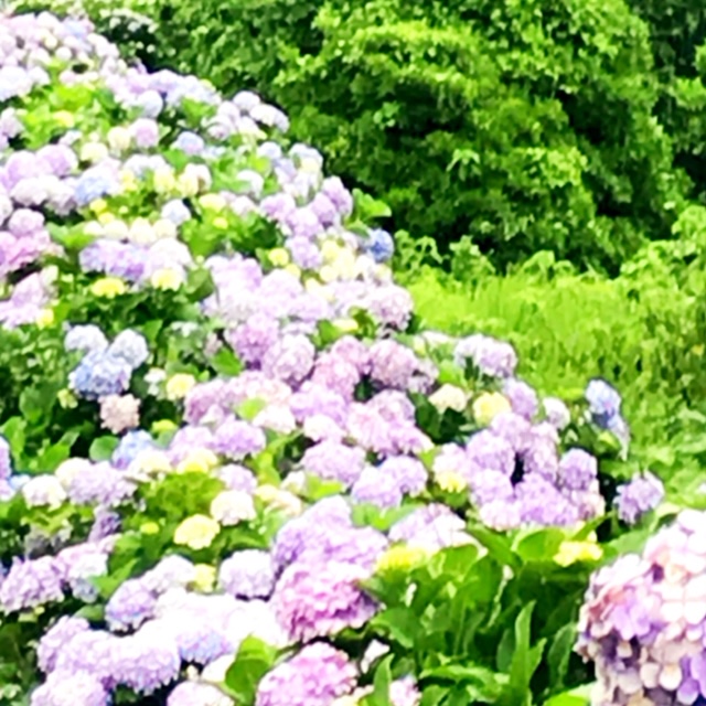 f:id:okiwebshop0726:20200626101103j:plain