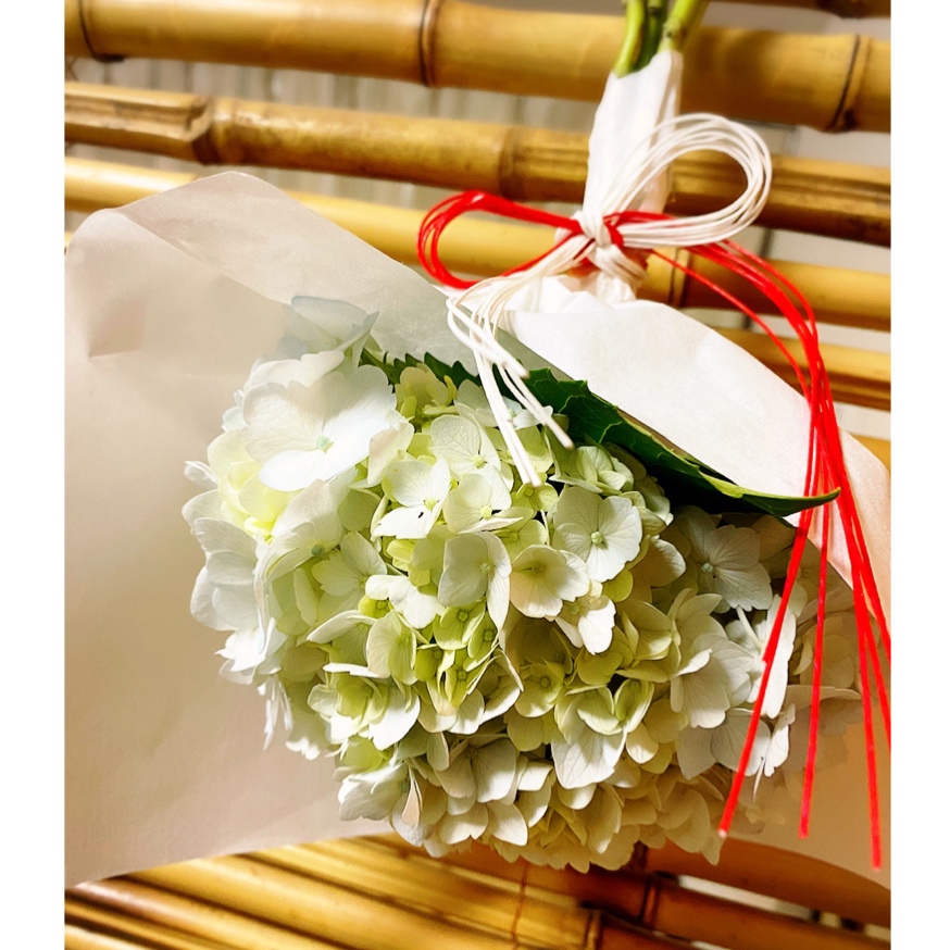 f:id:okiwebshop0726:20200626101618j:plain