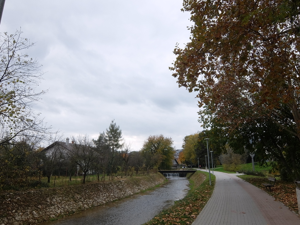 f:id:okj787hnd:20190121090645j:plain f:id:okj787hnd:20190121090645j:plain