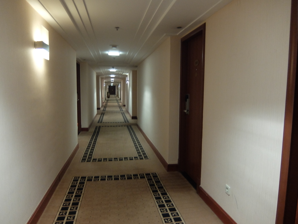 f:id:okj787hnd:20190129143016j:plain f:id:okj787hnd:20190129143016j:plain