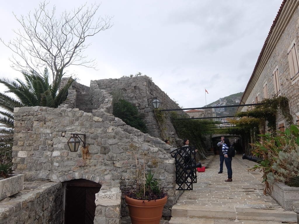 f:id:okj787hnd:20190206160356j:plain f:id:okj787hnd:20190206160356j:plain