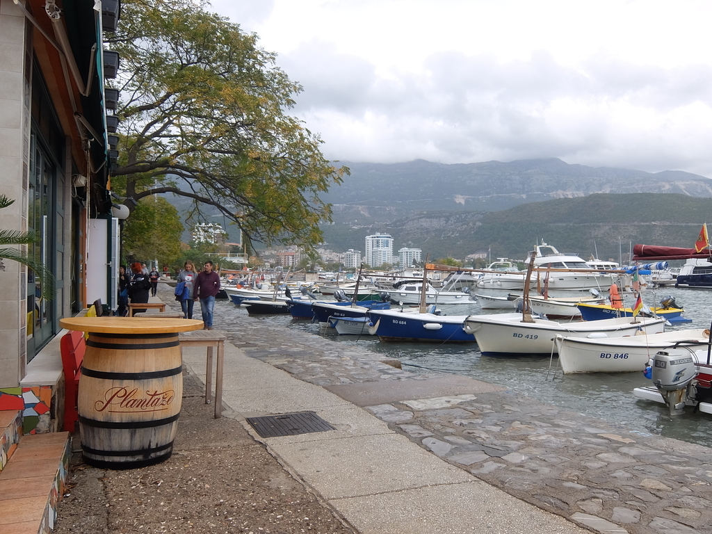 f:id:okj787hnd:20190206160433j:plain f:id:okj787hnd:20190206160433j:plain