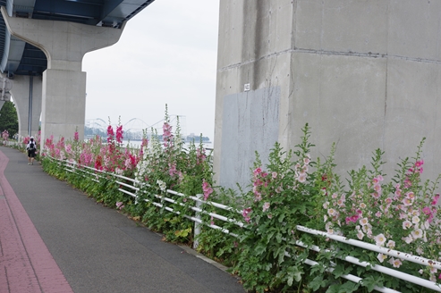 f:id:okka4:20190602181021j:plain f:id:okka4:20190602181021j:plain