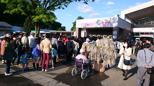 あしかがフラワーパーク