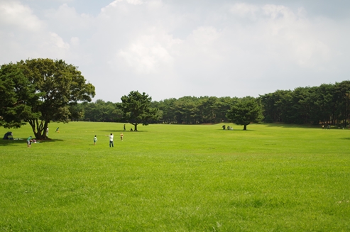 ひたち海浜公園