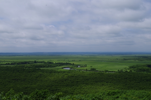 f:id:okka4:20190707072231j:plain