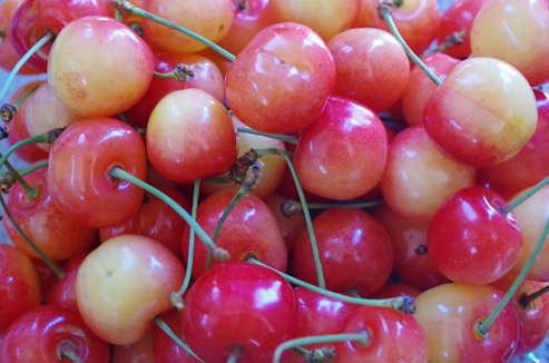 f:id:okka4:20190707072757j:plain