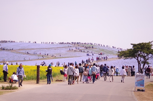 海浜公園