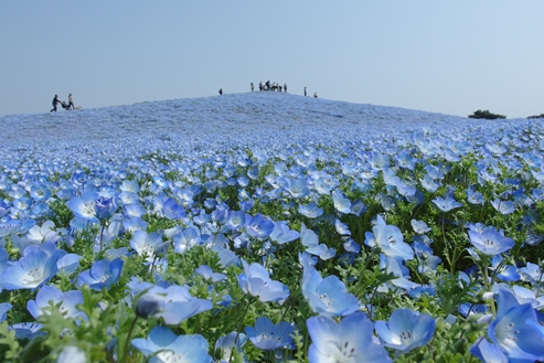 カメラ