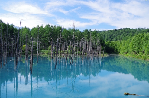 青い池