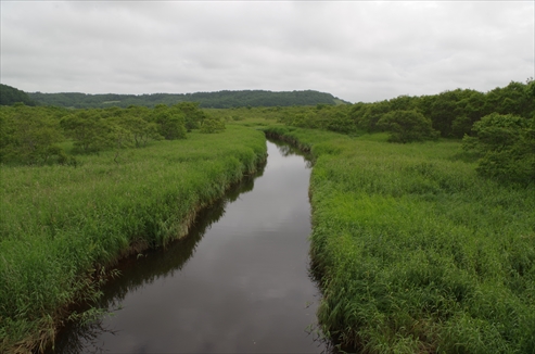 糸魚沢林道