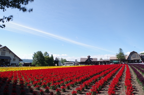 ファーム富田