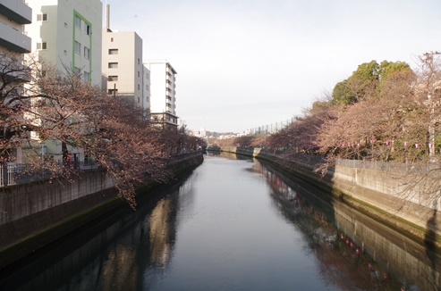 大岡川