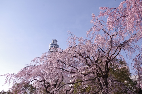 山下公園