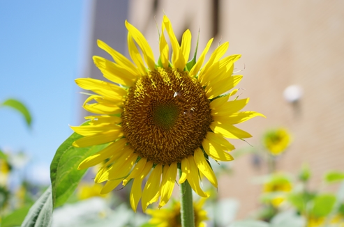 f:id:okka4:20190813063939j:plain f:id:okka4:20190813063939j:plain