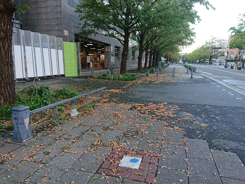 f:id:okka4:20191013073249j:plain f:id:okka4:20191013073249j:plain