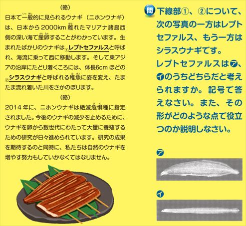 f:id:okka4:20201007054621j:plain f:id:okka4:20201007054621j:plain