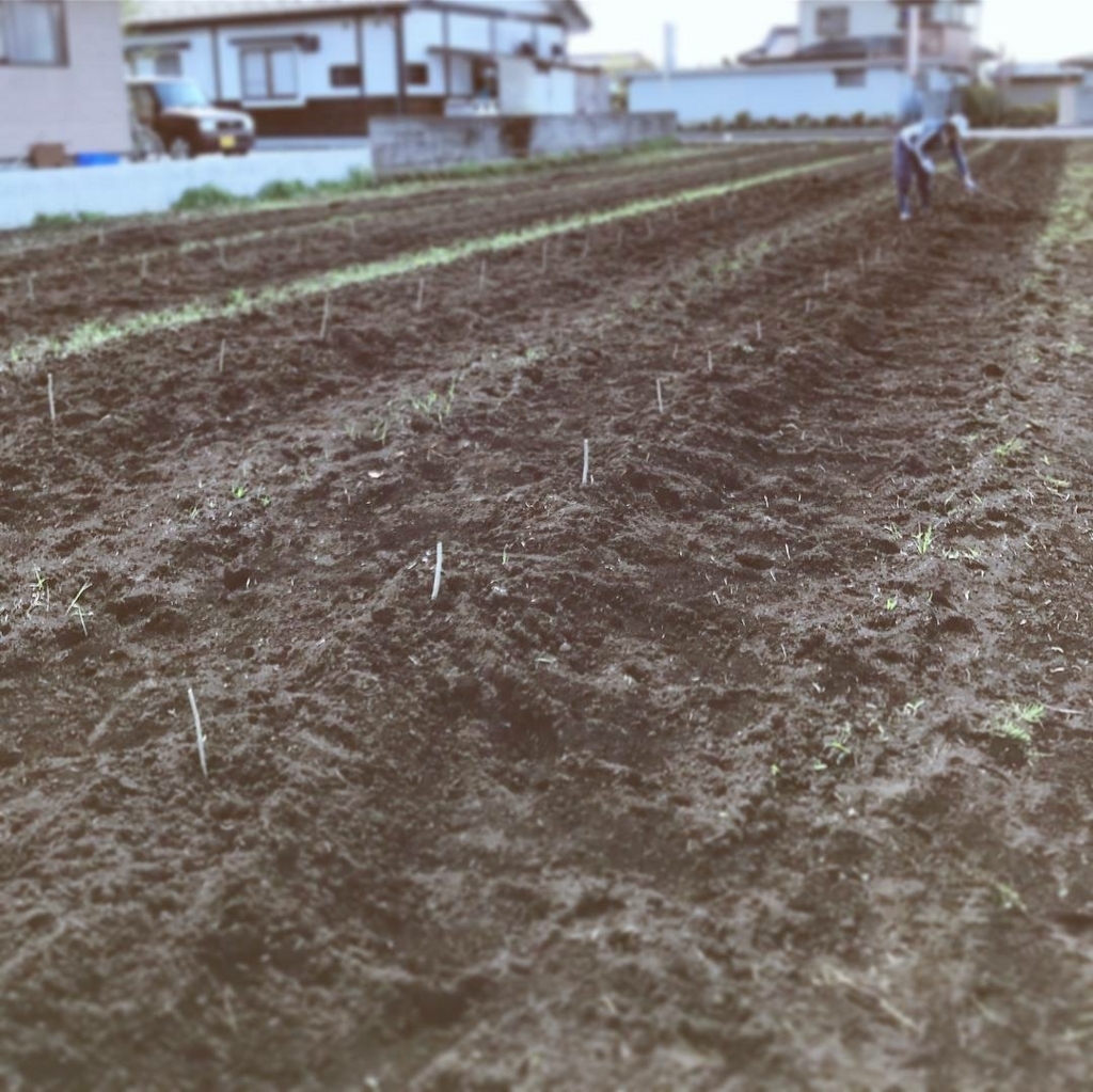 f:id:okkaaa:20180502111956j:plain f:id:okkaaa:20180502111956j:plain