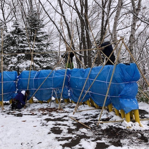 f:id:okkachan:20191116060624j:image f:id:okkachan:20191116060624j:image