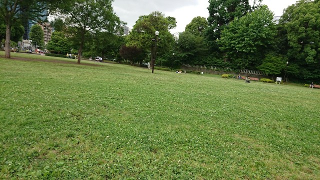 f:id:okkei:20190611155401j:image