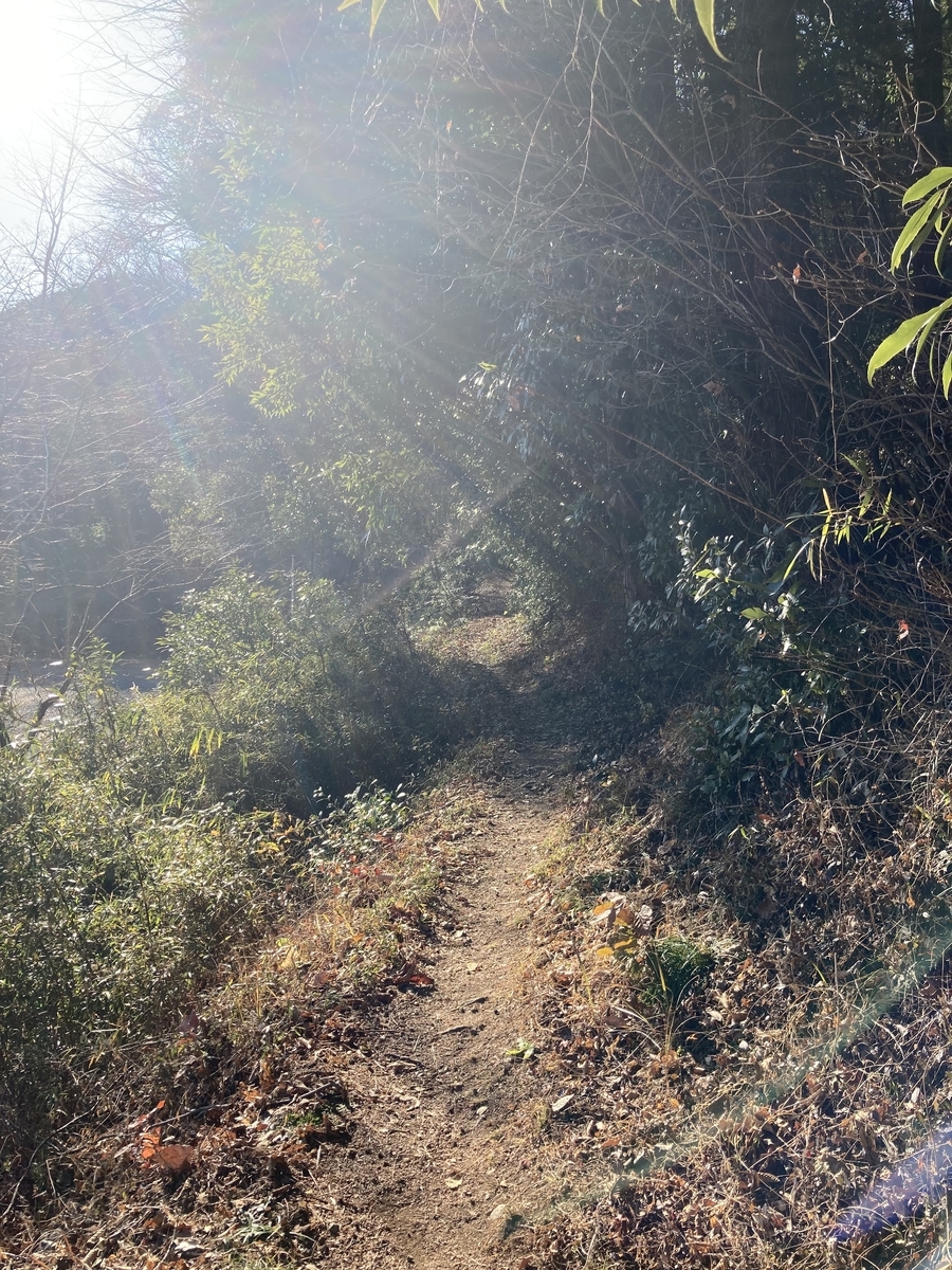 f:id:okkei:20220102215126j:plain