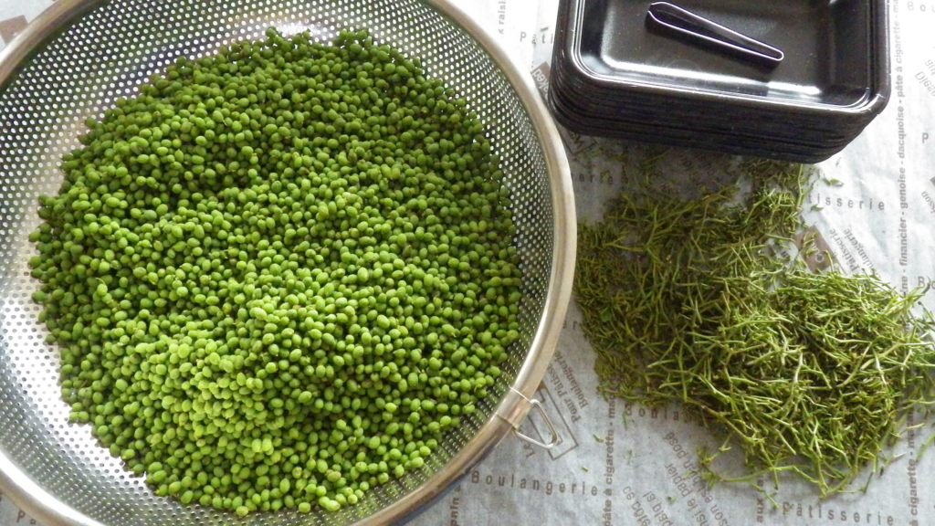 f:id:okko326:20160520125300j:plain