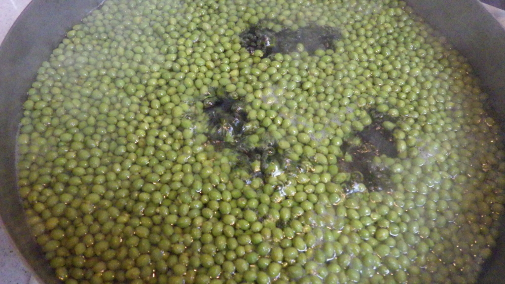 f:id:okko326:20160520125349j:plain