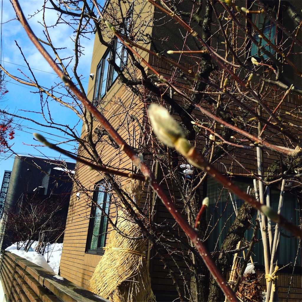 f:id:okko326:20180205075237j:image f:id:okko326:20180205075237j:image