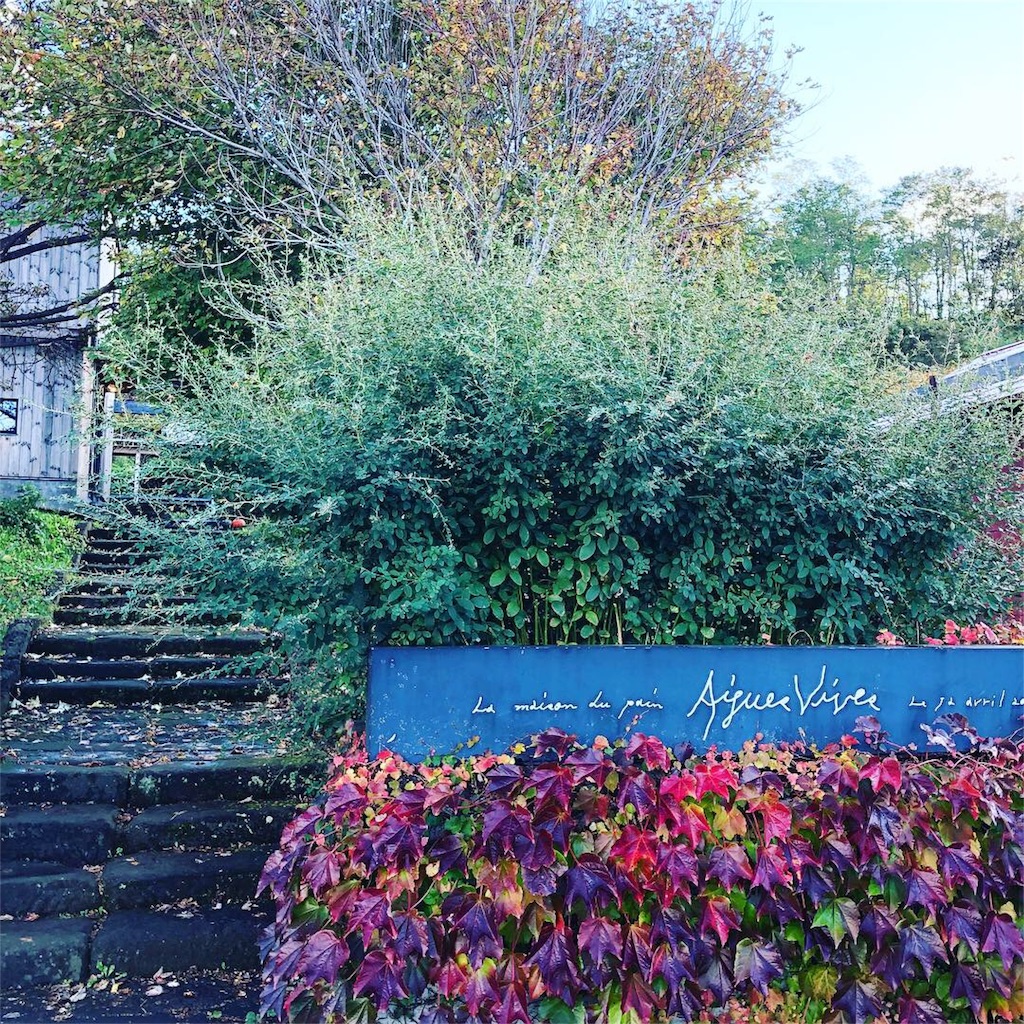 f:id:okko326:20181014163921j:image