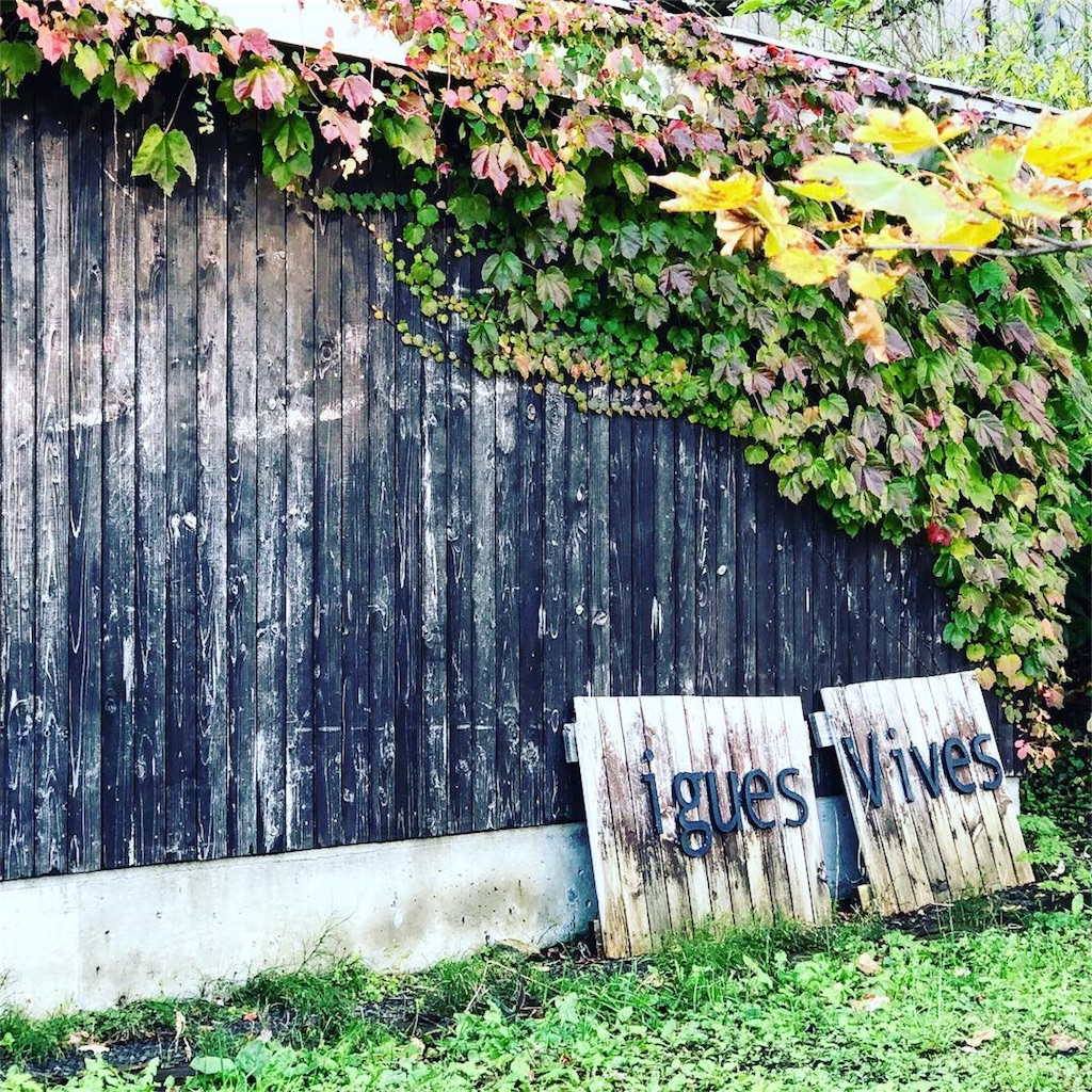 f:id:okko326:20181014164039j:image