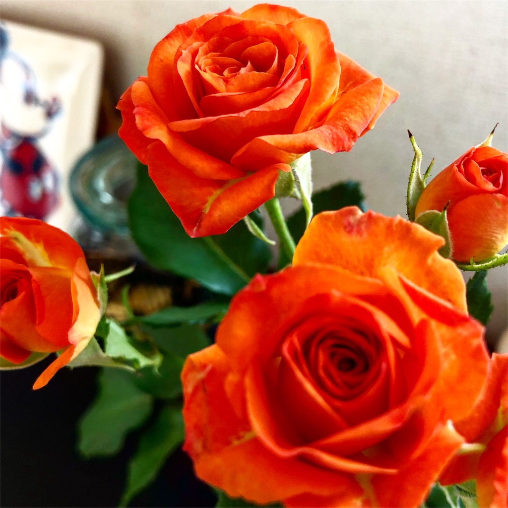 f:id:okko326:20190511194955j:image