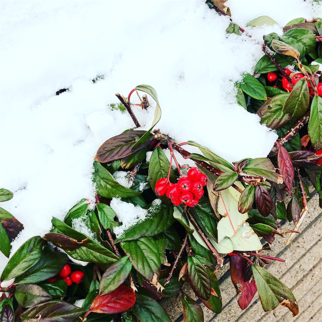 f:id:okko326:20191231105258j:image