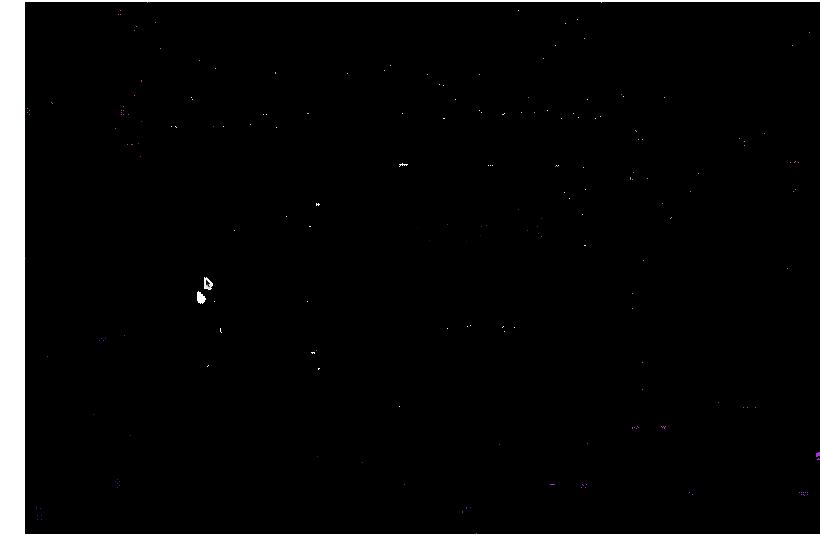 iPhoneのカメラの映像