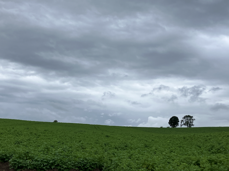 北海道で撮った写真