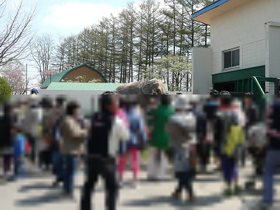 f:id:okmtaym:20140505083330j:plain