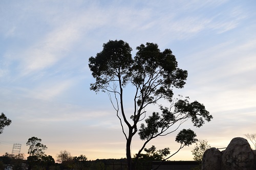 f:id:okmtaym:20181125161709j:plain f:id:okmtaym:20181125161709j:plain